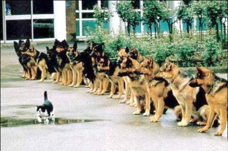 alatiiiiiiiiif we taro mor chi wahid hado ri lah yihfed